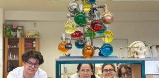 Súkromné gymnázium v Žiline pripravuje študentov na vysokú školu aj život vo svete